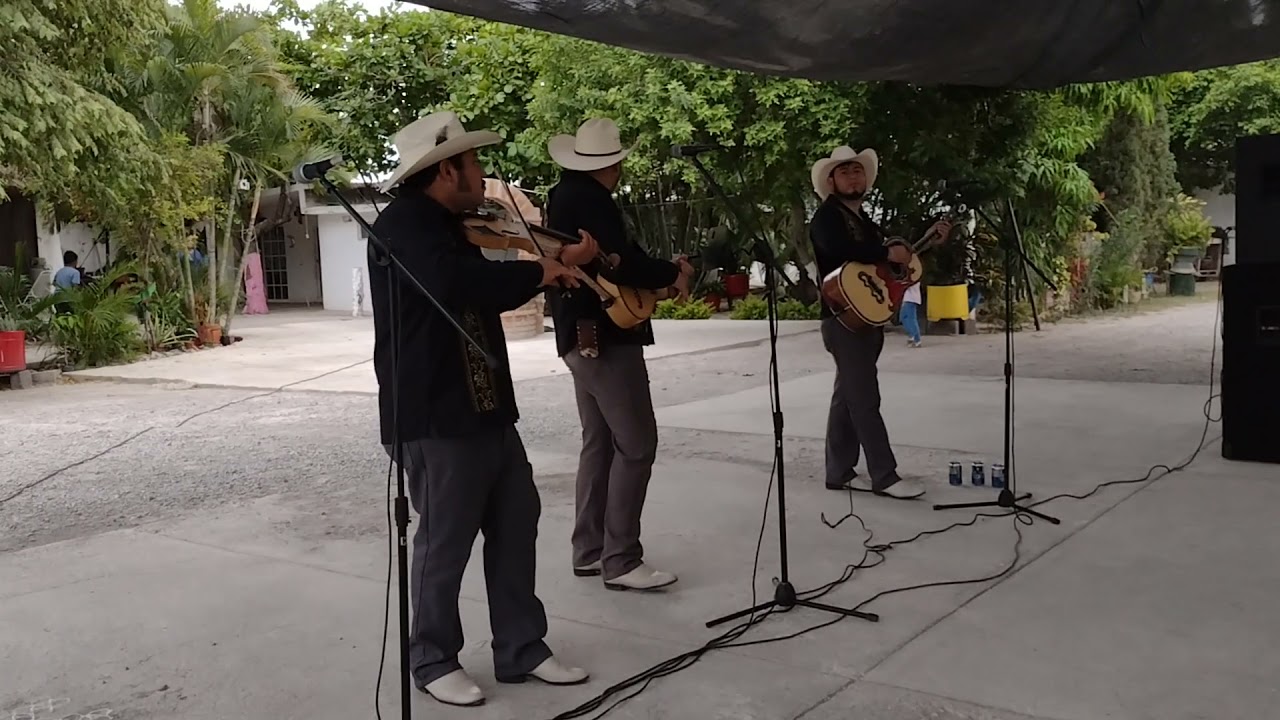puras polkas desde Gómez farías los cantores de González