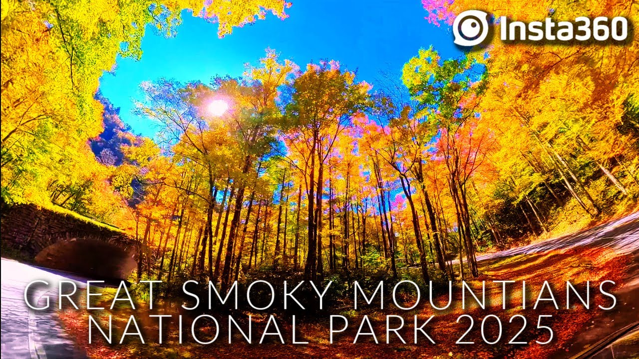 GATLINBURG, TN: Insta360 |GREAT SMOKY MOUNTAINS NATIONAL PARK FALL FOLIAGE 2025