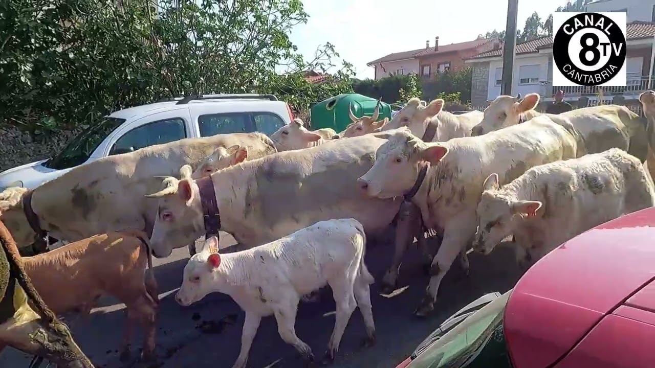 I Feria Ganadera de Solorzano. 5 Julio 2025