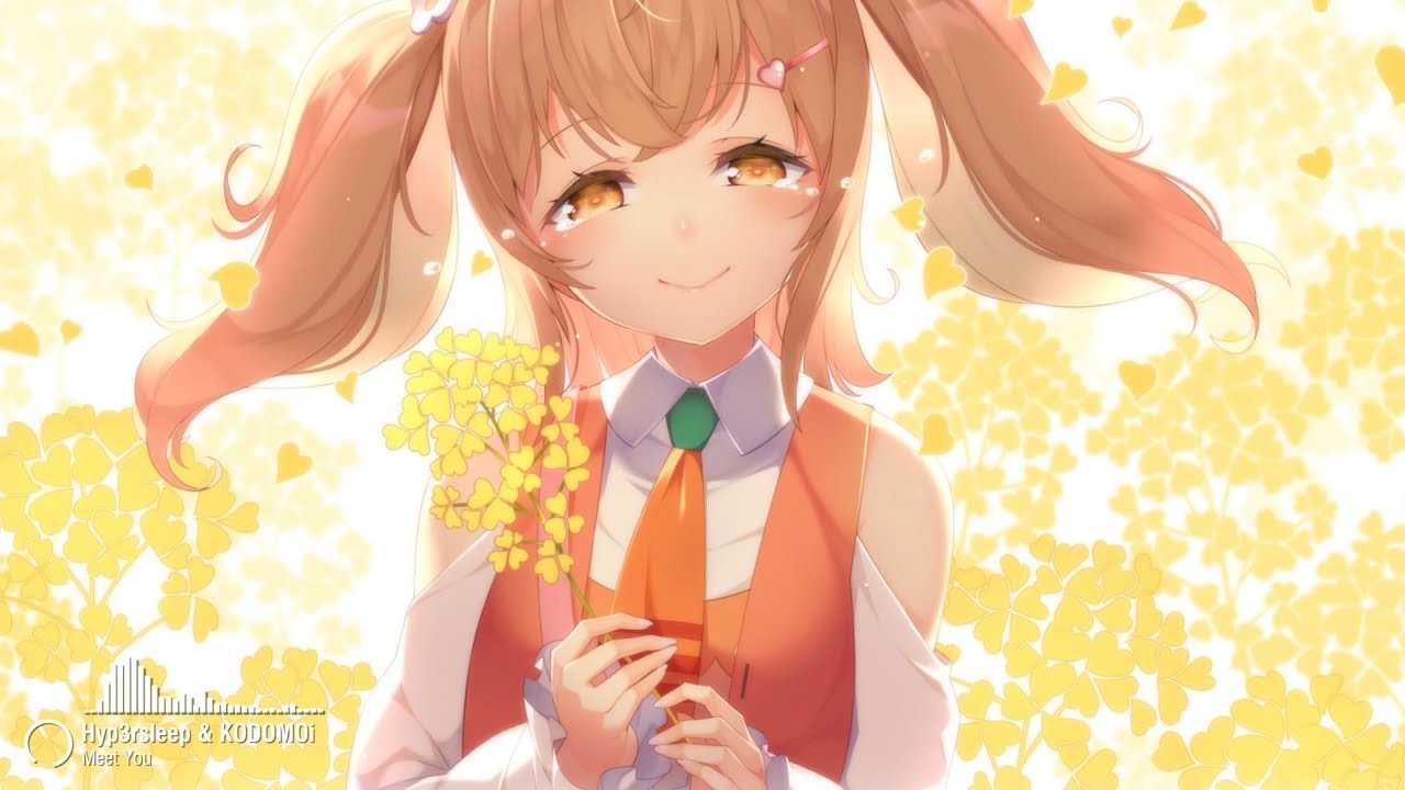 Hyp3rsleep & KODOMOi - Meet You ♪
