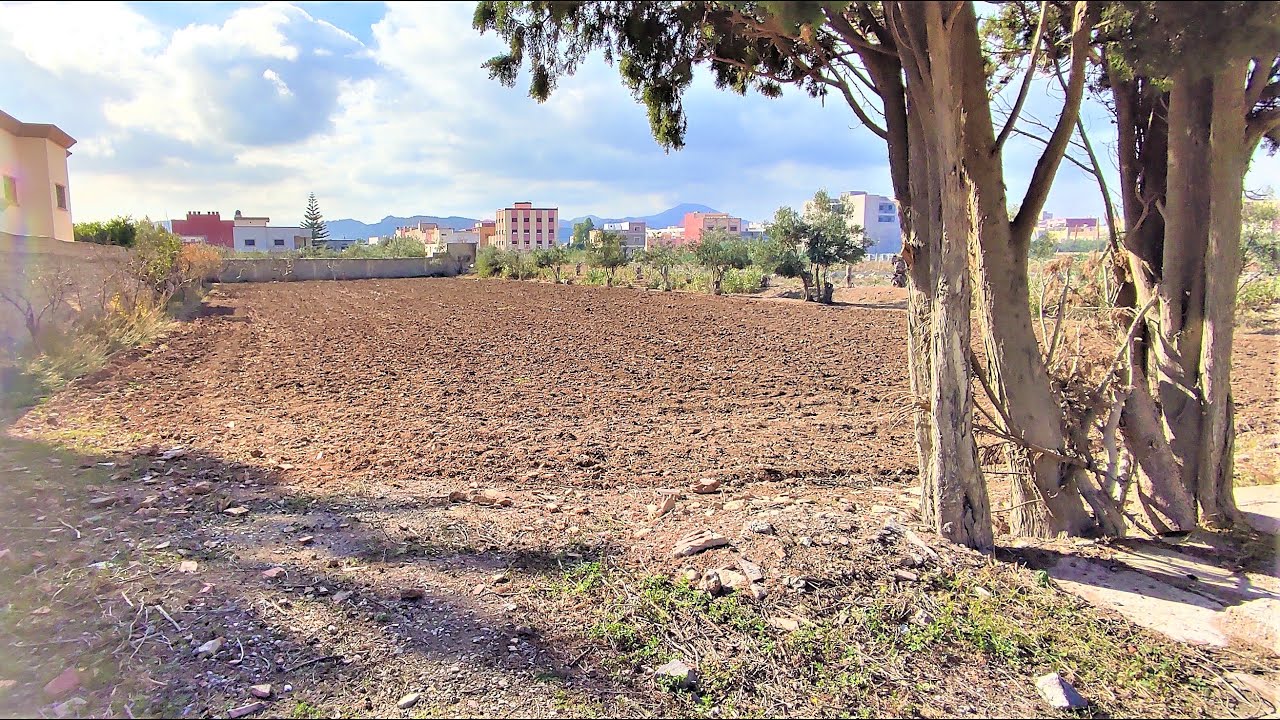 عاجلا بقعة ارضية للبيع 2606 متر  مرخصة للبناء  قريبة لوسط المدينى الناظور/Terrain à vendre nador
