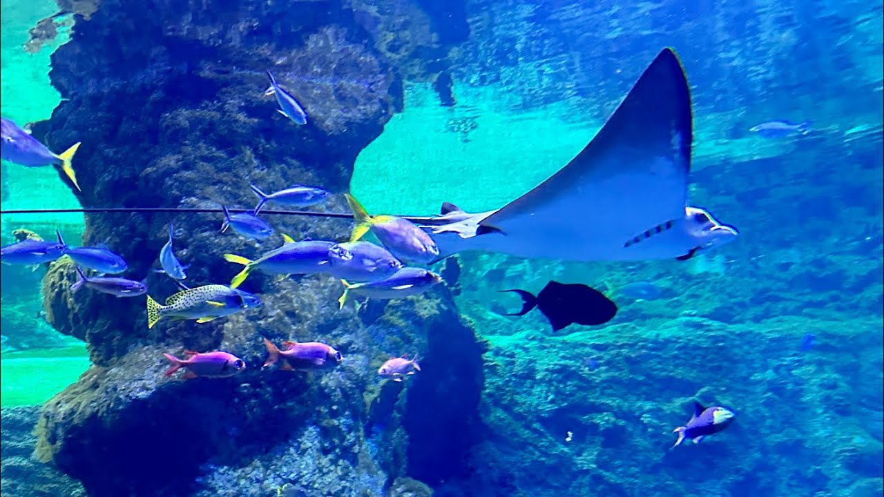 ZOO Wrocław 2024