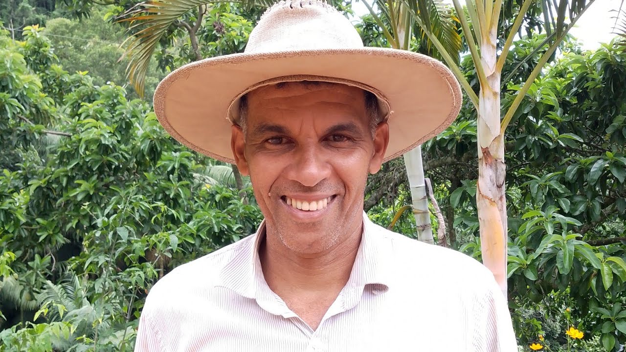 INDO A PROCURA DAS ABÓBORAS