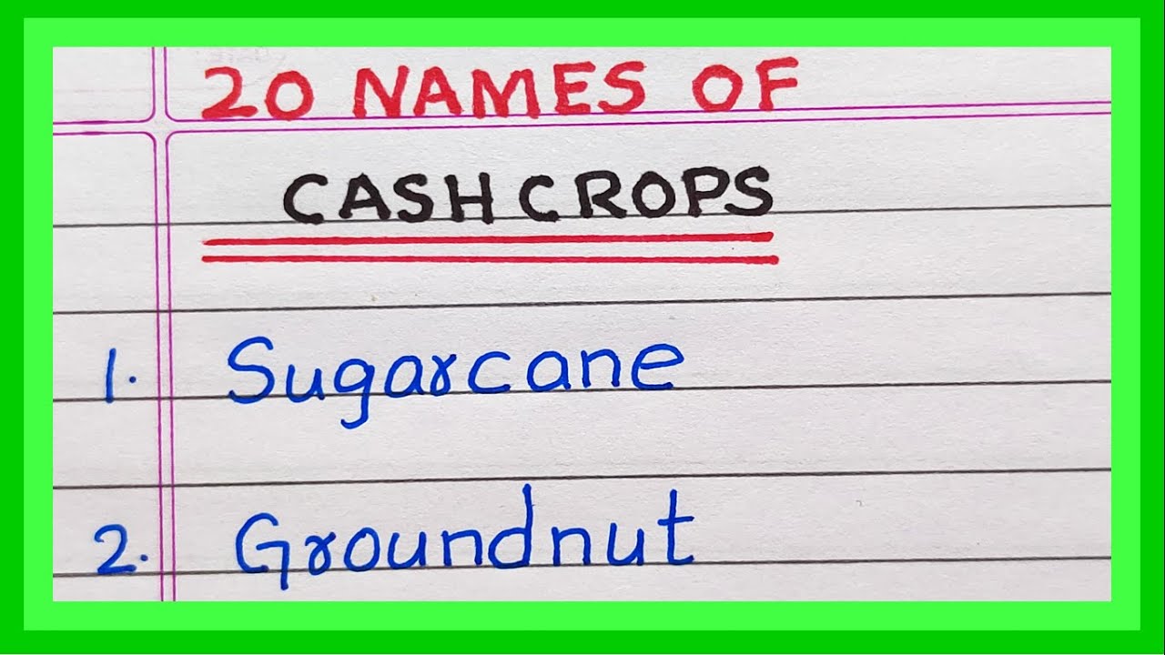 Name Cash crops of India | 20 Example of Cash crops | Commercial crops