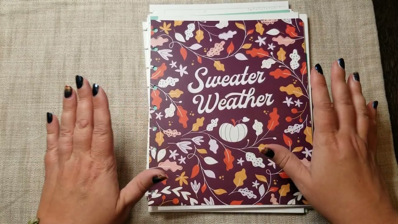 My 1st Plum Paper Planner Haul - September 2023 - discbound system