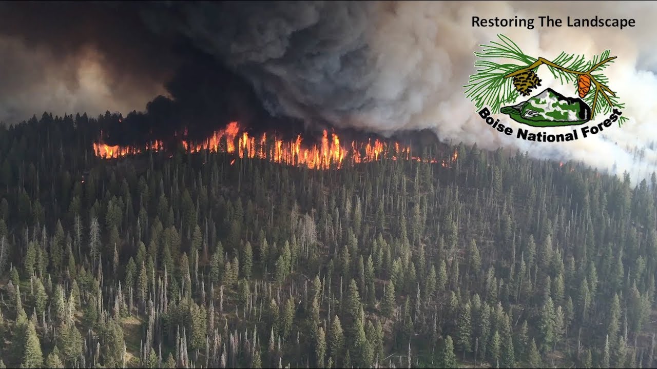 Pioneer Fire Burned Area Emergency Response on the  Boise National Forest