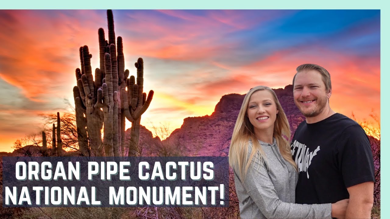 🌵 2 DAYS IN ORGAN PIPE CACTUS NATIONAL MONUMENT (TOTALLY WORTH A VISIT!)