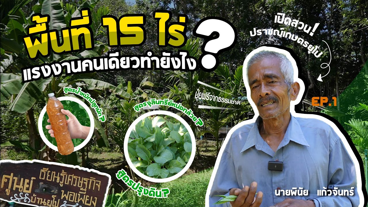 เห็นผลจริงเกษตรกรผู้พลิกที่นาเก่าเป็นสวนผสมผสานปลอดสารเคมี ทำปุ๋ยใช้เอง รายได้ทั้งปี มั่งมีความสุข
