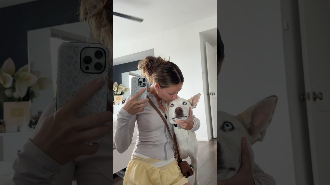 Dog lover day in the life vlog #dogshorts #dogmom #dog #pets #vlog #beach #dayinmylife #date #pup