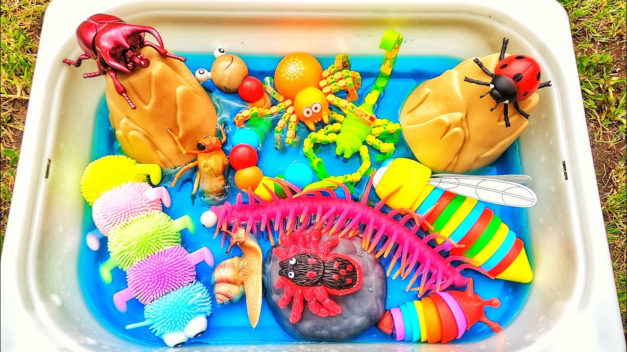 Learn bugs insects names for babies toddlers preschoolers & kids