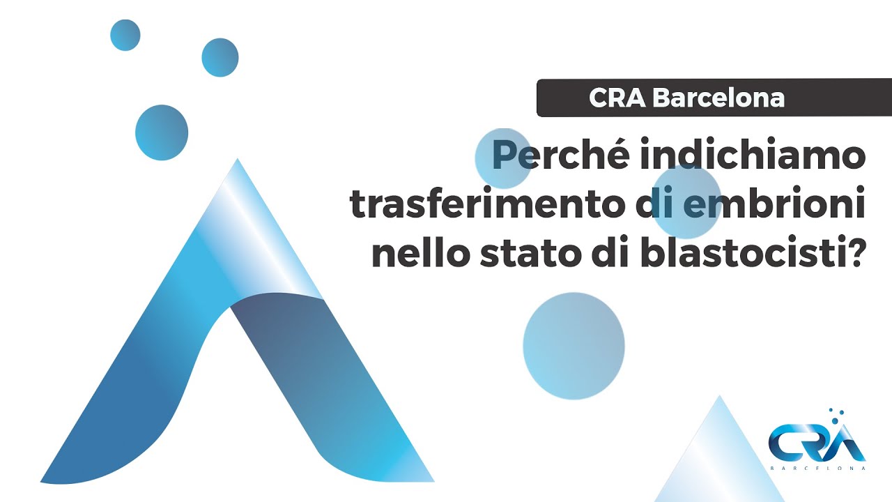 Perché indichiamo trasferimento di embrioni nello stato di blastocisti?