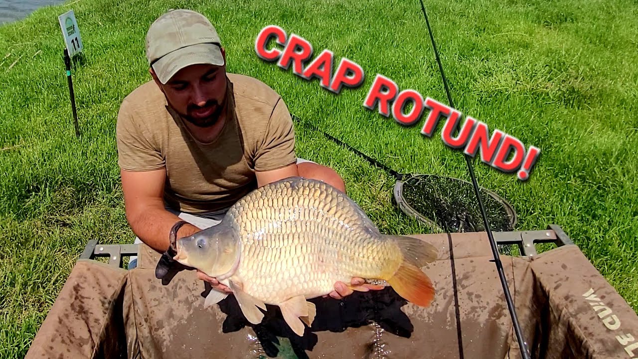 Crapul „Rotund” de pe Boteni 3 – O Partidă Nebună la Feeder