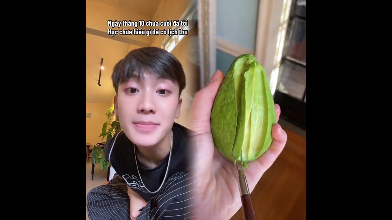tuilagray Hài hước video tổng hợp#fypシ #funny #pov #fyp 