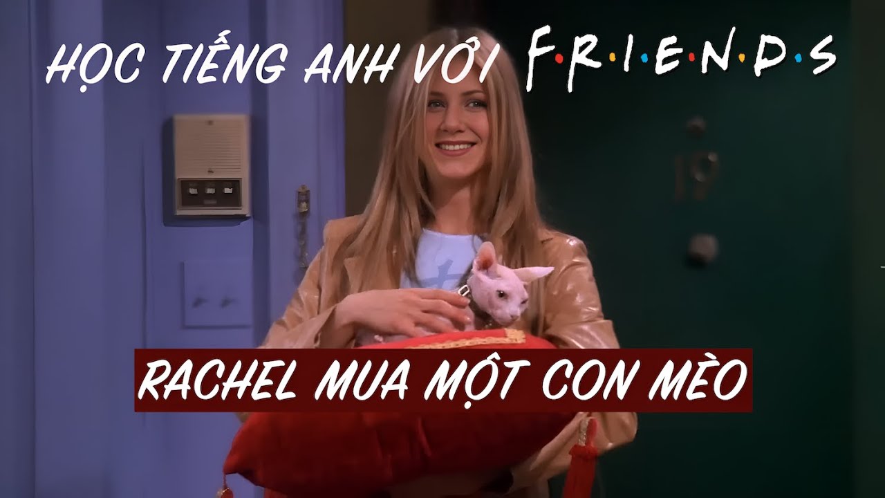 Friends 5: Học tiếng Anh về việc nuôi mèo