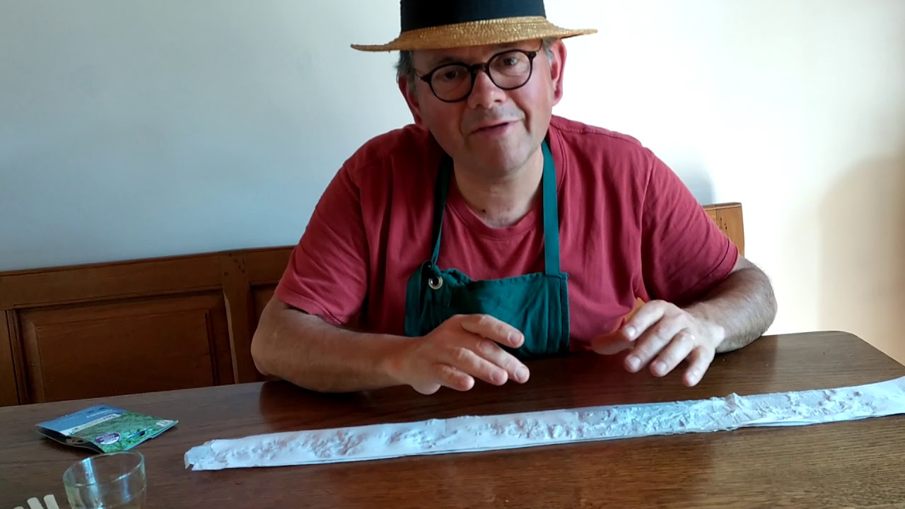 Astuce pour semer des graines de persil mouillées  !