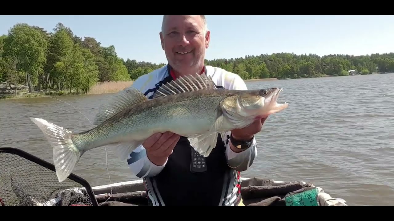 01.06 M&auml;laren  zander -80cm ,