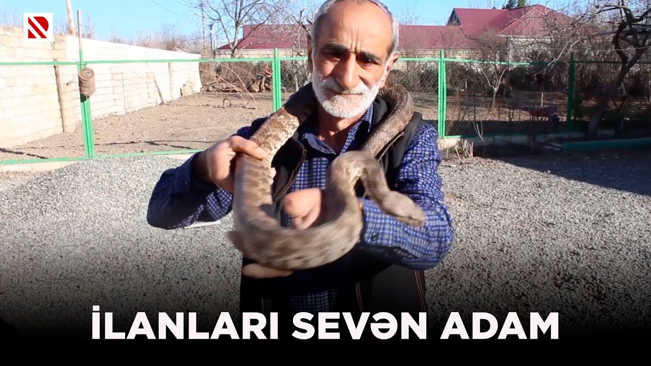 İlanları sevən adam - Ağdam sakini Mirhəsən Abıyev 20 ildən &ccedil;oxdur evində ilan bəsləyir