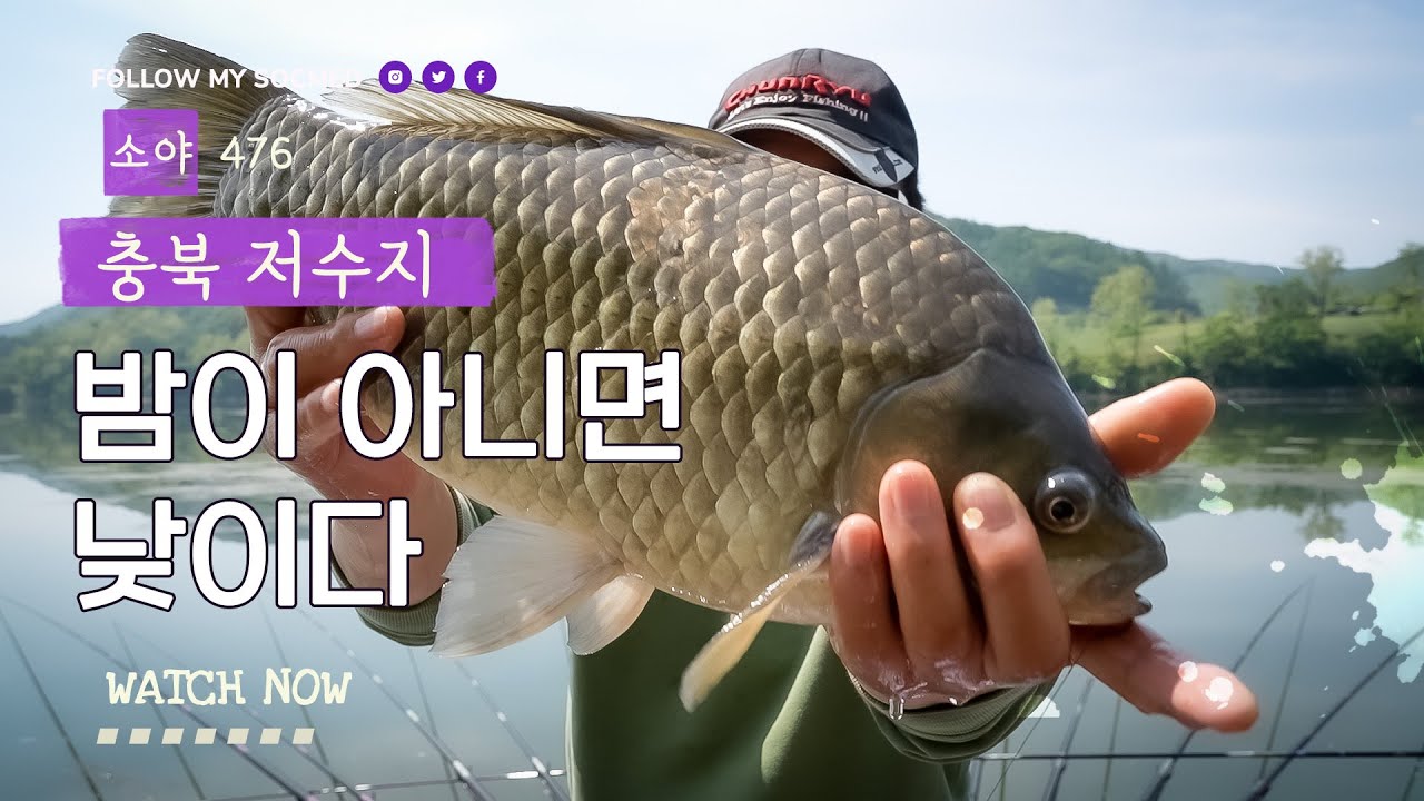 밤이 아니면 낮이다