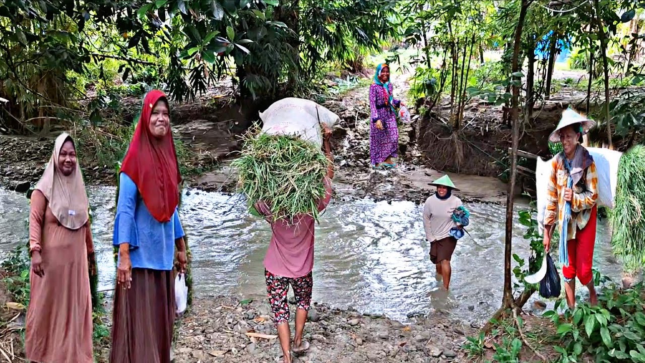 Sulit Di Percaya😲‼️Tidak Banyak Yang Tahu,Seperti Ini ,Suasana Desa Tengah Hutan,Juah Dari Perkotaan