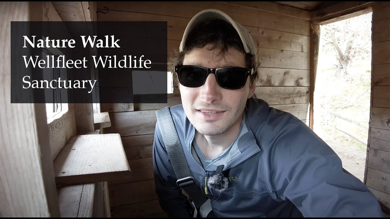 Exploring the Wellfleet Audubon Location on Cape Cod
