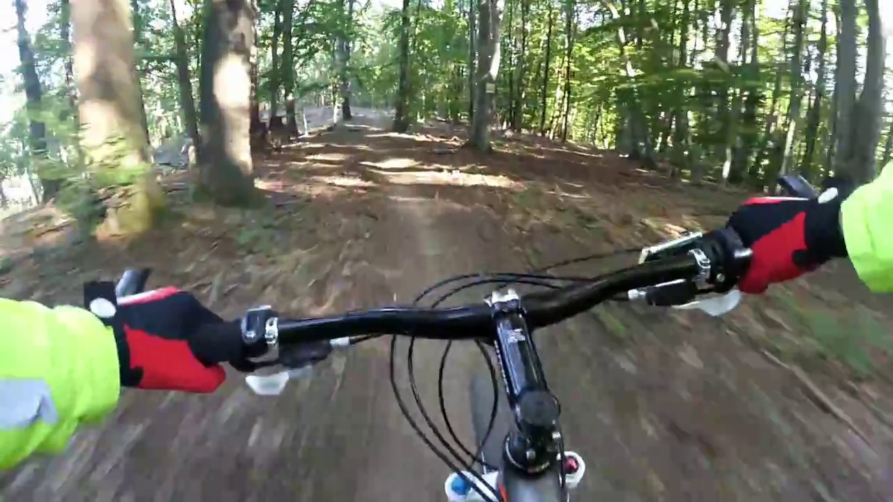 MTB Downhill Vienna (Wurzel-Trail)