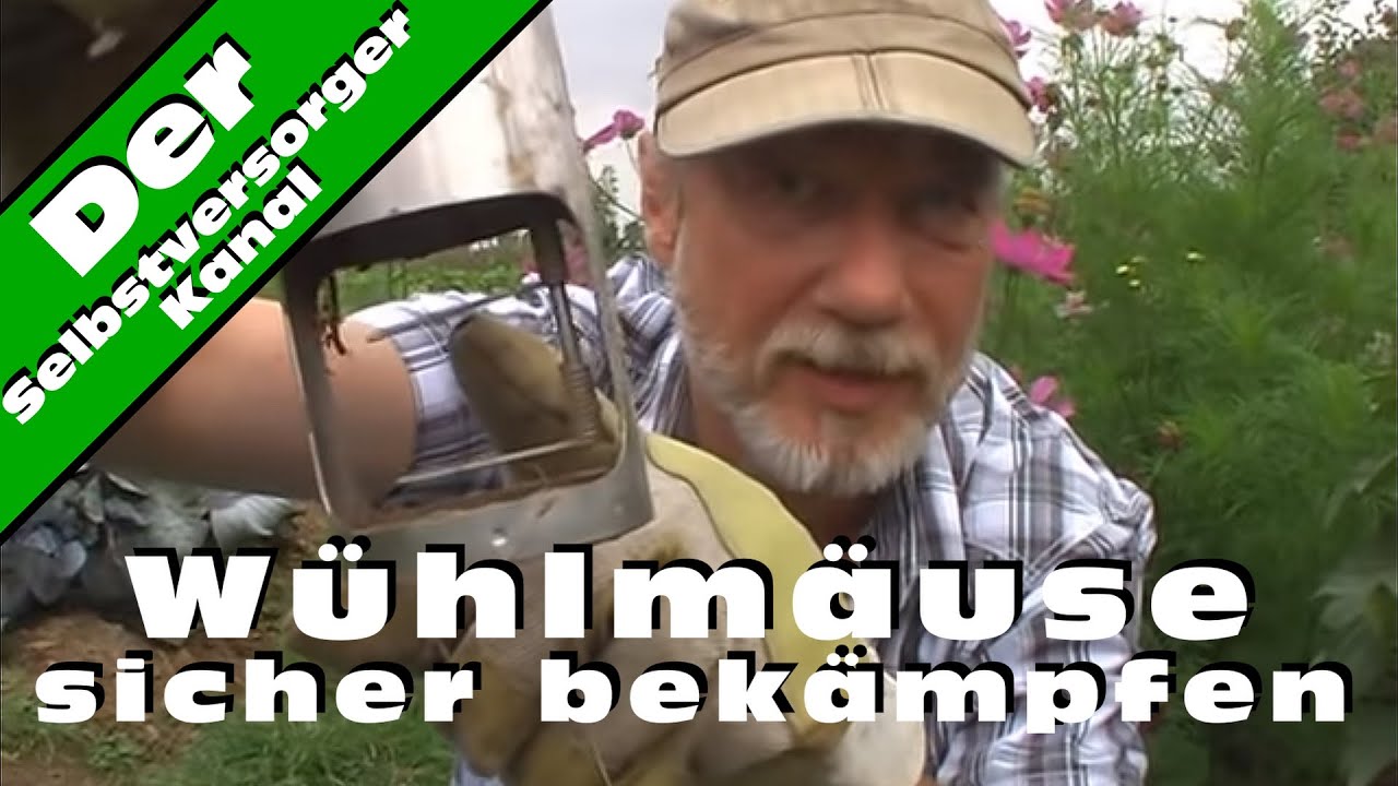 Wuehlmaeuse sicher bekaempfen TopCat Mausefalle
