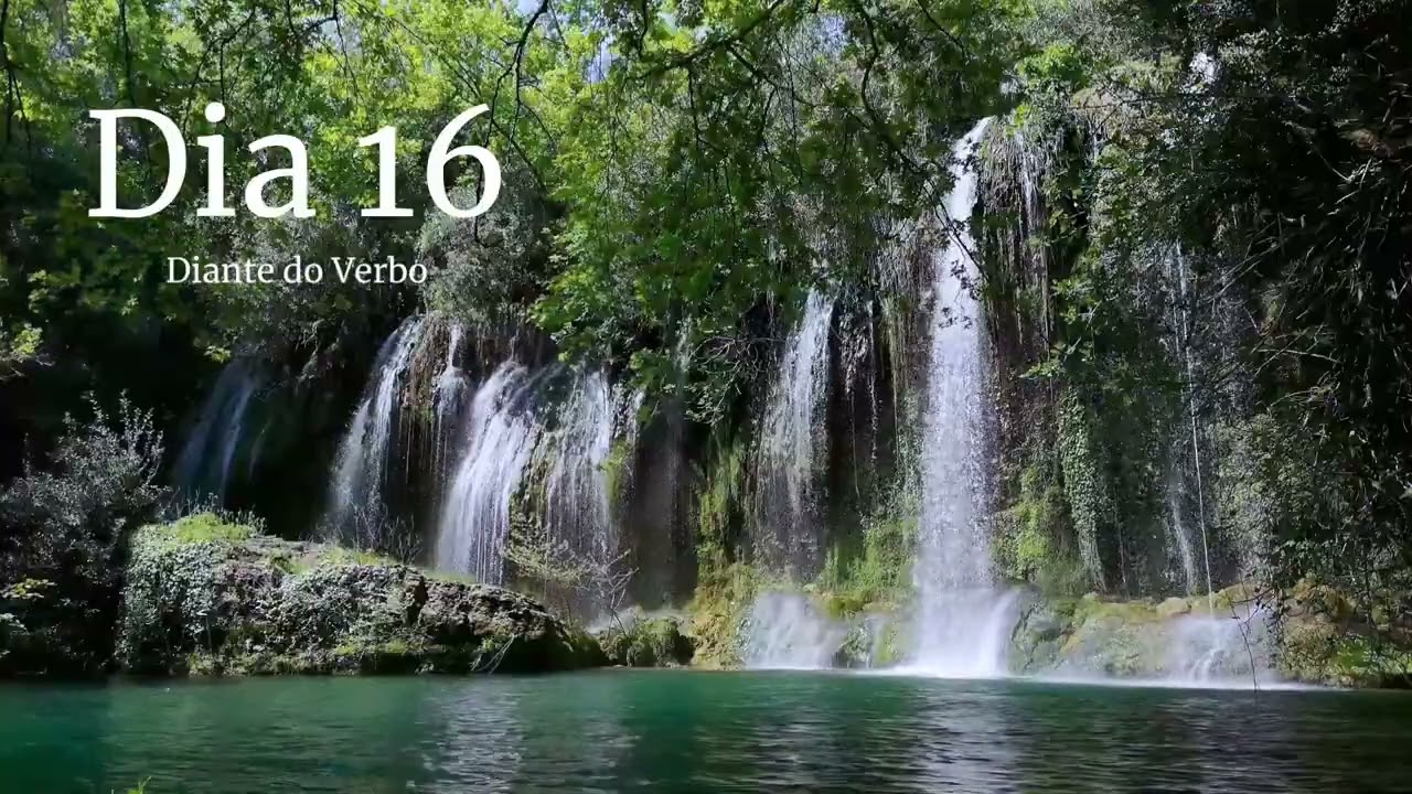 Leitura anual da Bíblia - Dia 16