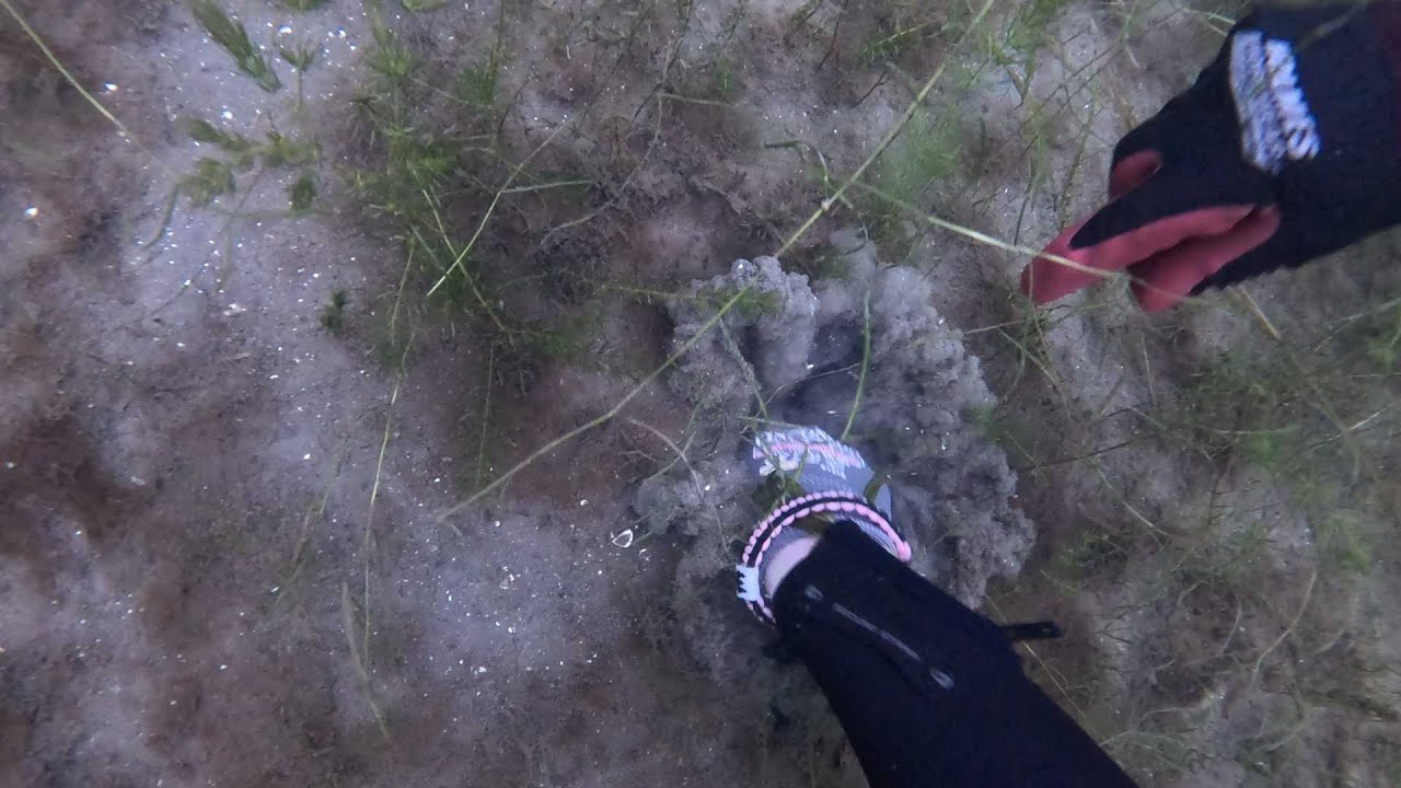 38 Pairs of Glasses in one dive! What else can we find?