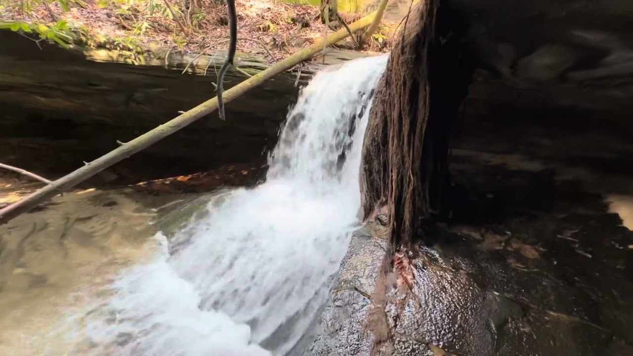 Big South Fork- Root Falls, Joy Falls, N&eacute;e High Arch, Awesome Overlook Along the John Muir Trail