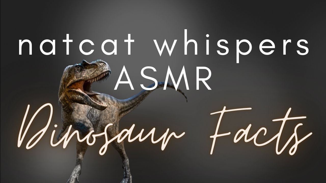 ASMR | Whispered Facts About Dinosaurs [Science Facts]