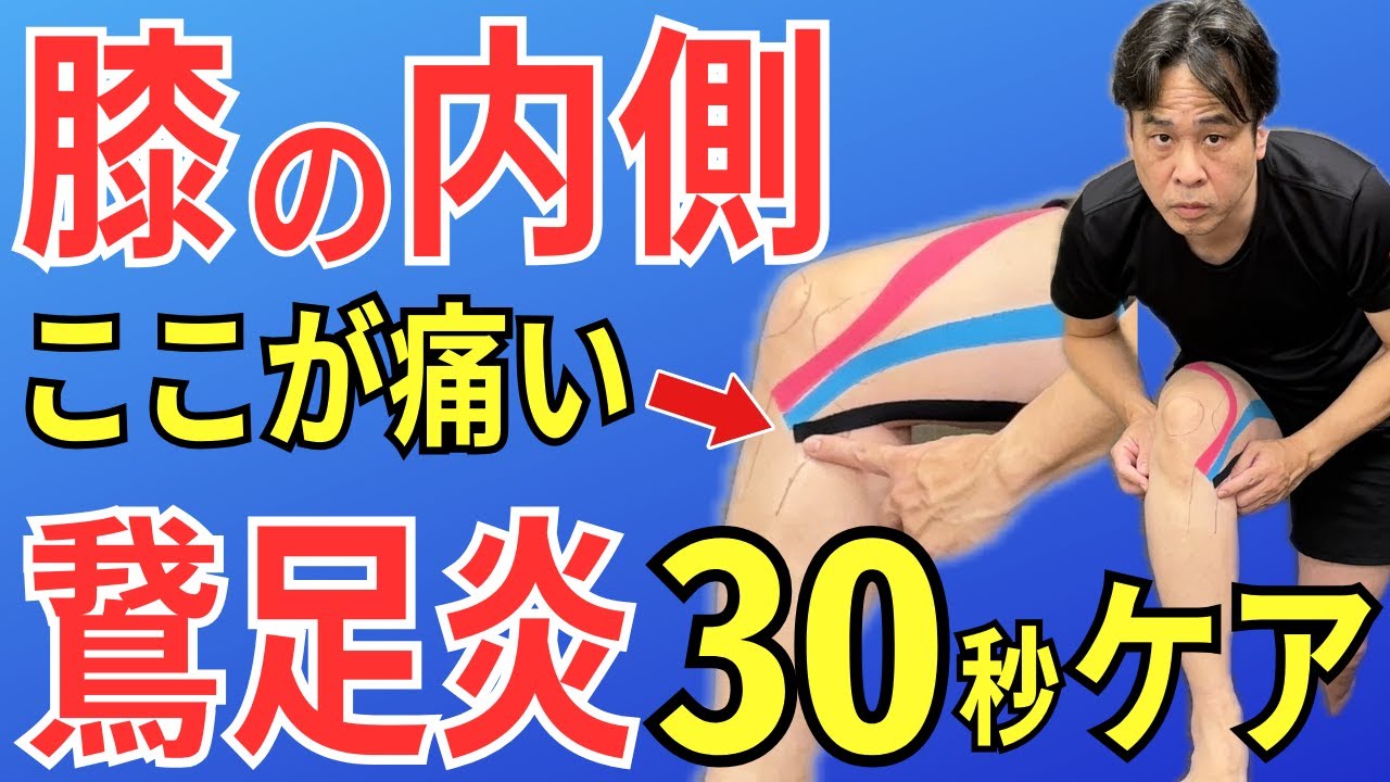 【ひざの内側が痛い】鵞足炎に効くマッサージ・ストレッチ法 ９選  |  大阪市都島区 さかとう整骨院#055