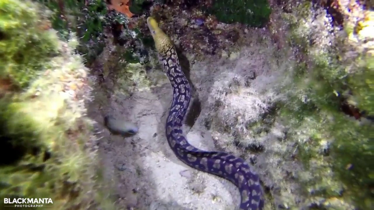 Scuba Diving the Caves & Caverns of Zante, Greece | Nero Sport Divers | Limni Keriou