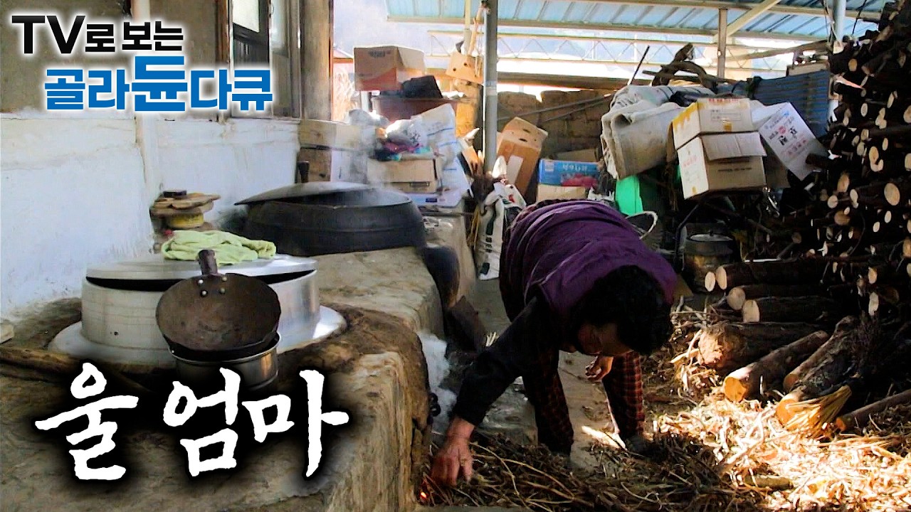 🏠나만 기다리고 있는 얼굴. 문 열면 뜨끈한 온기로 감싸주는 포근한 시골 집🏠｜푸근한시골 집 풍경 1시간 몰아보기｜한국기행｜#tv로보는골라듄다큐