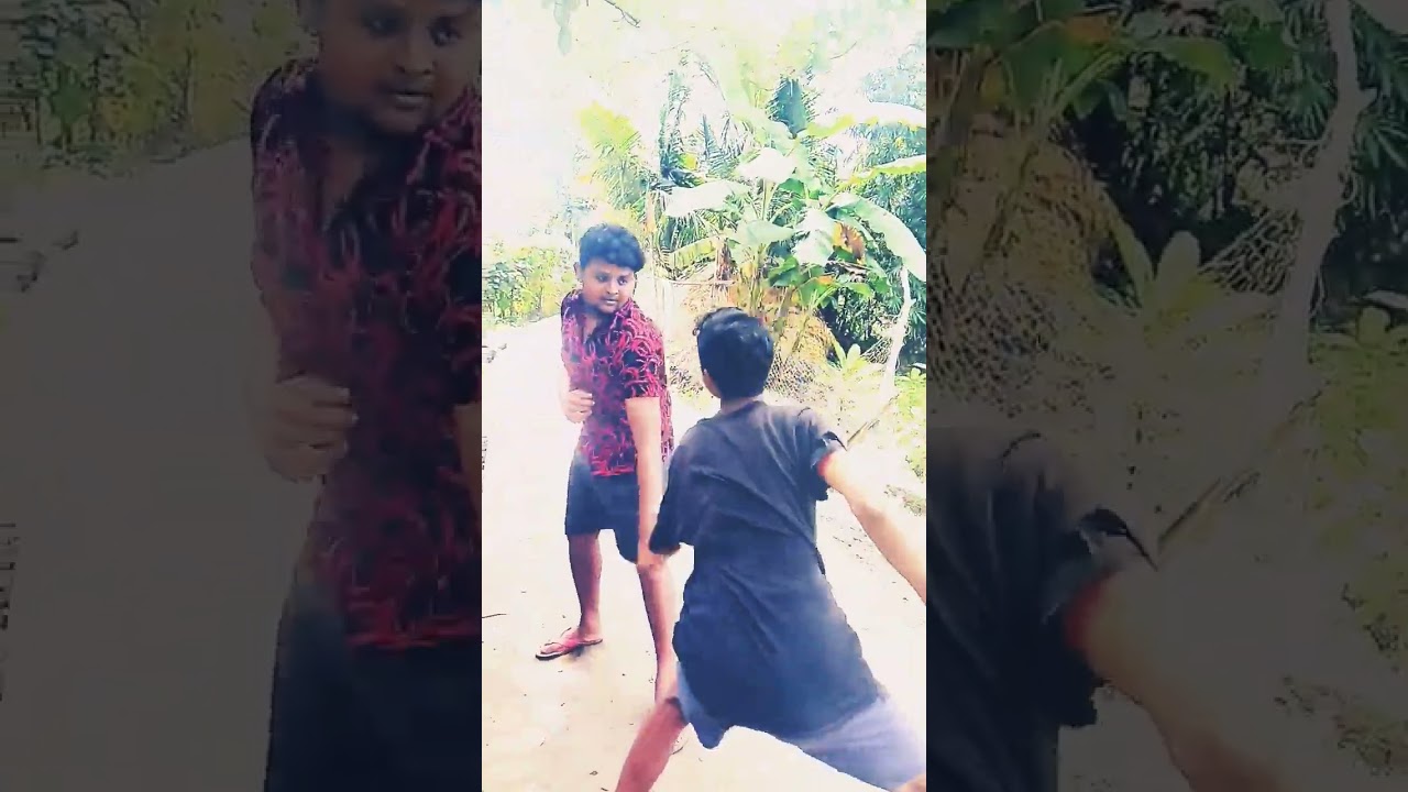 mota vs roga