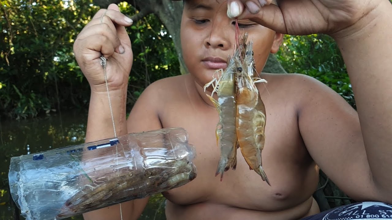 Freshwater Prawn Trap and Shrimp Trap Fishing