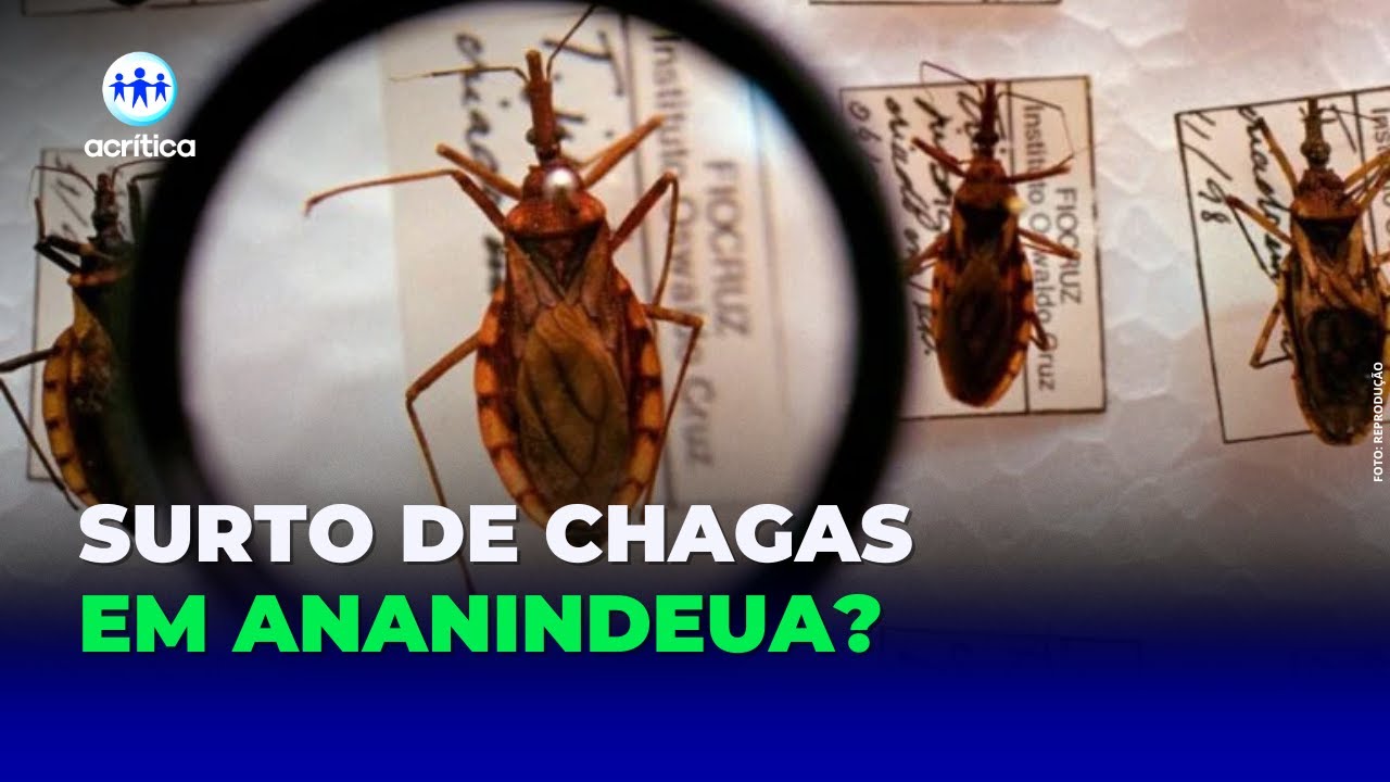 SURTO DE DOENÇA DE CHAGAS: CIDADE DO PARÁ ENTRA EM ALERTA