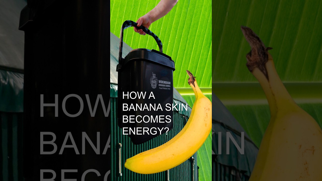 How a banana skin becomes renewable energy 🍌⚡