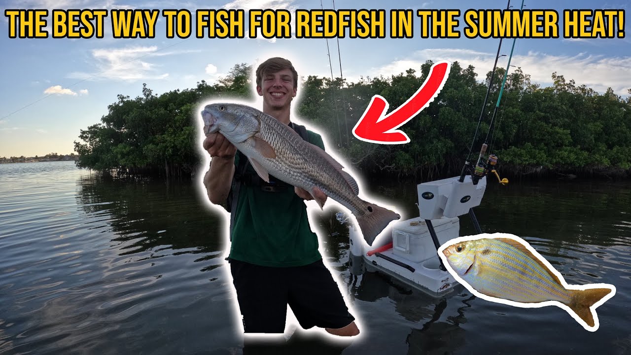 The Best Way To Fish For Redfish In The Summer Heat!