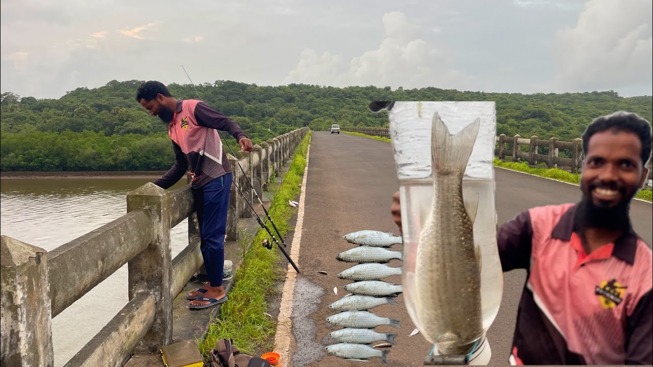 Bottle fish trap fishing from bridge 🌉 || ​⁠​⁠@Bablu Solkar fishing