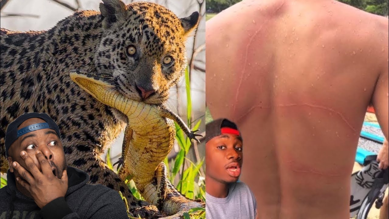 5 More Horrible Ways Animals Can End You | Casual Geographic