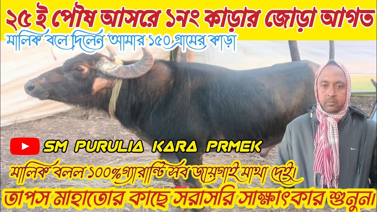 ২৫ ই পৌষ ভাদরী মাহাতোর আসর কাঁপাতে পৌঁছেগেছে মানপুর তাপস মাহাতর কাড়া মালিকের ঝাঁজালো বক্তব্য শুনুন।