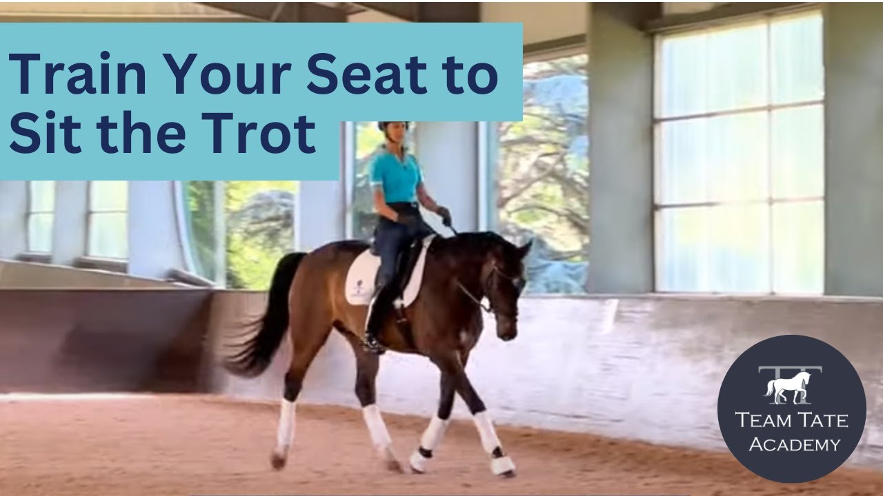 Train Your Seat to Sit the Trot and Create Connection with Beau