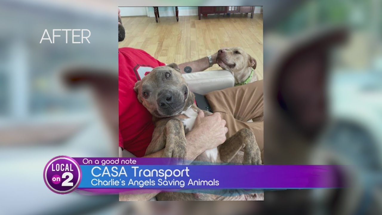 CASA Transport