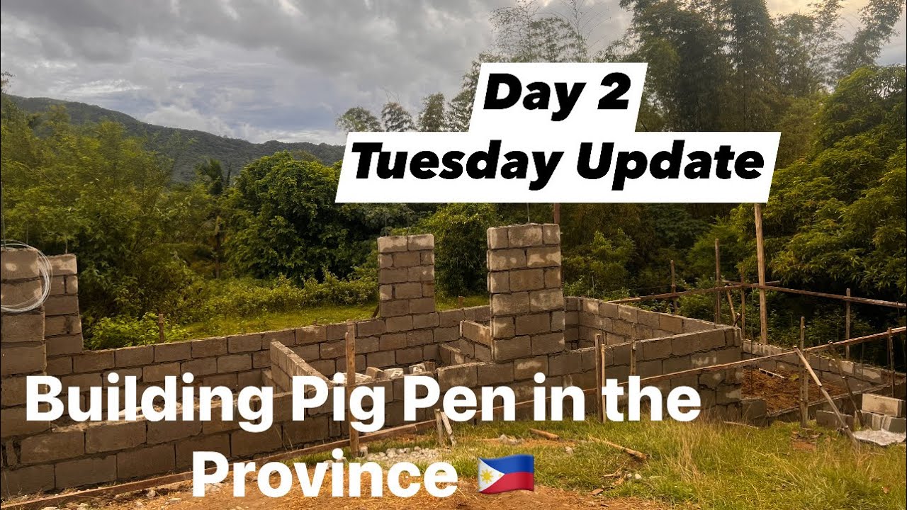 Building Pig Pen in the Philippines 🇵🇭 | Tuesday Update | Harvesting Coconut