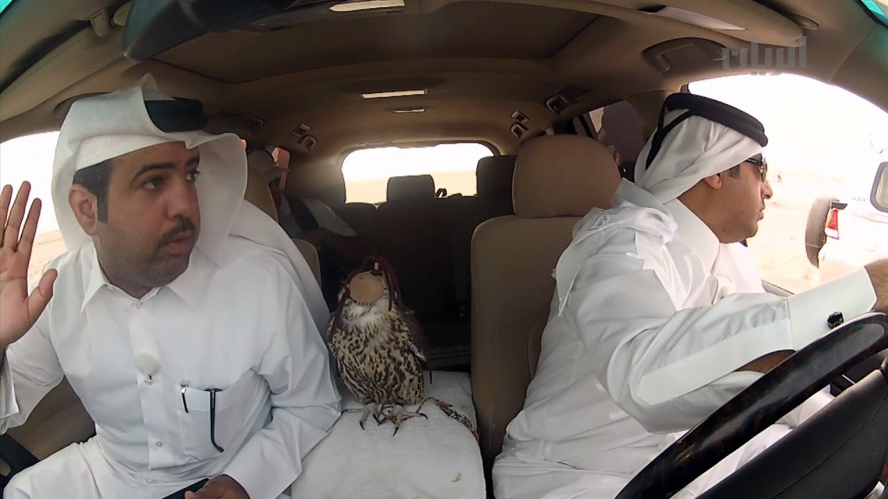 برنامج شارة الريان - الشاهين 09-10-2013