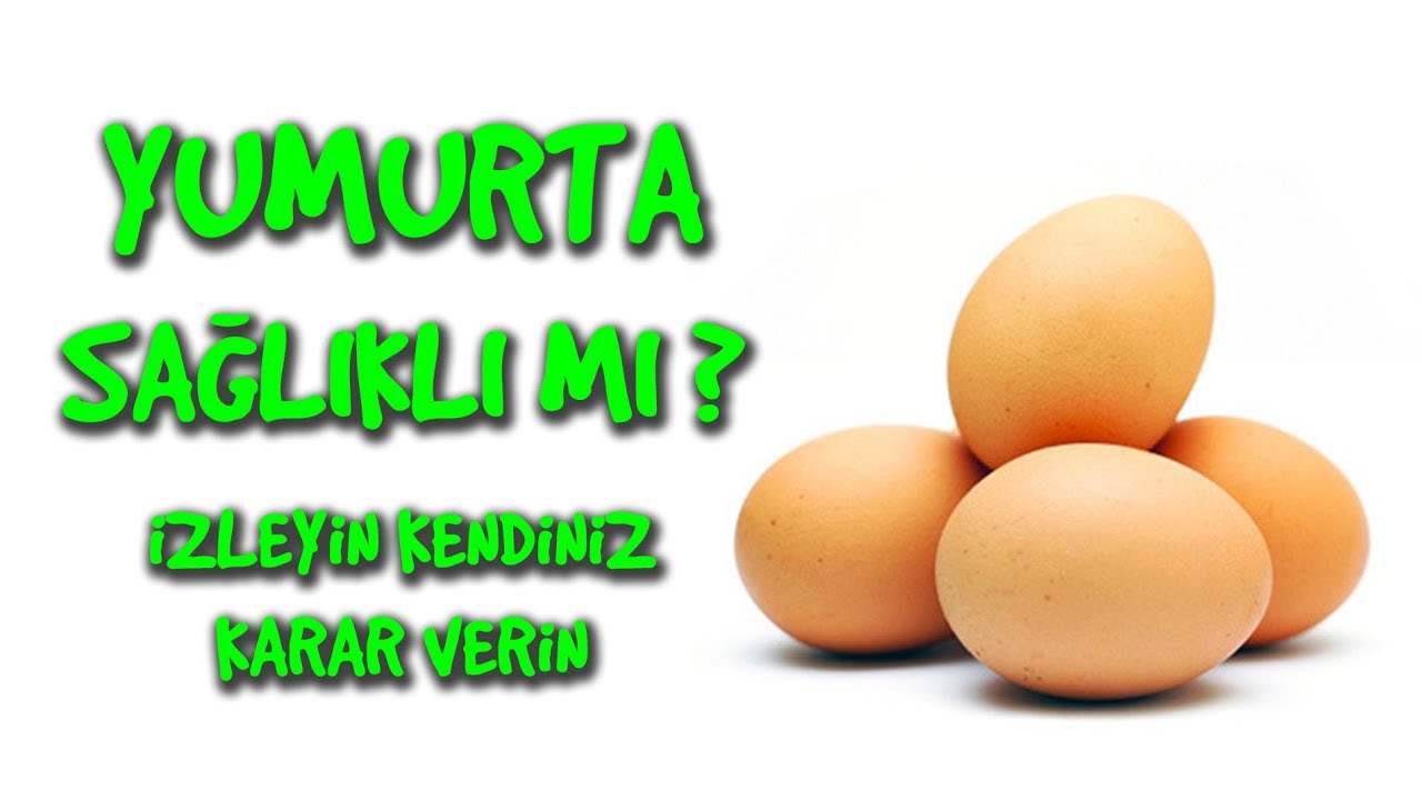 🥚 YUMURTA SAĞLIKLI MI DEĞİL Mİ? İzleyin siz karar verin | #4 Hayvansal Beslenme