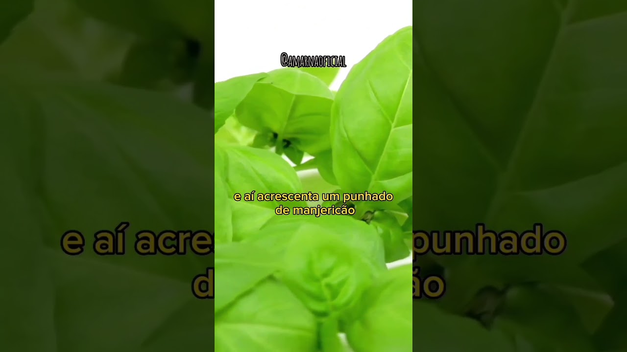 Banho contra Olho Gordo