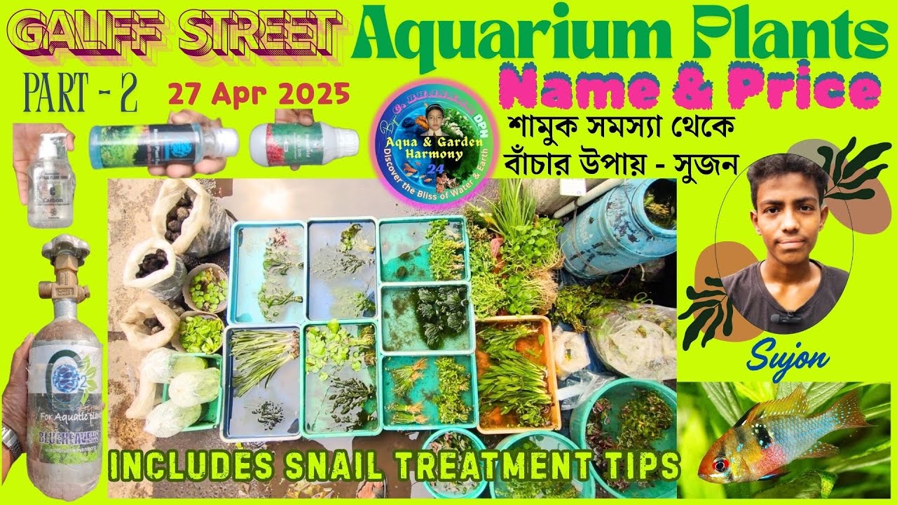 AQUARIUM PLANTS PRICE UPDATE | PART 2 | SELLER: SUJON BARIK | GALIFF STREET KOLKATA | 27 APR 2025