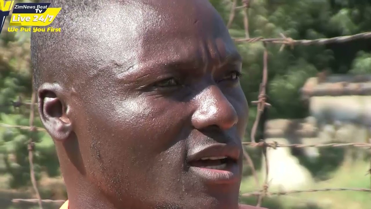 Ndakasungirwa Kuva Driver Wema Armed Robbers