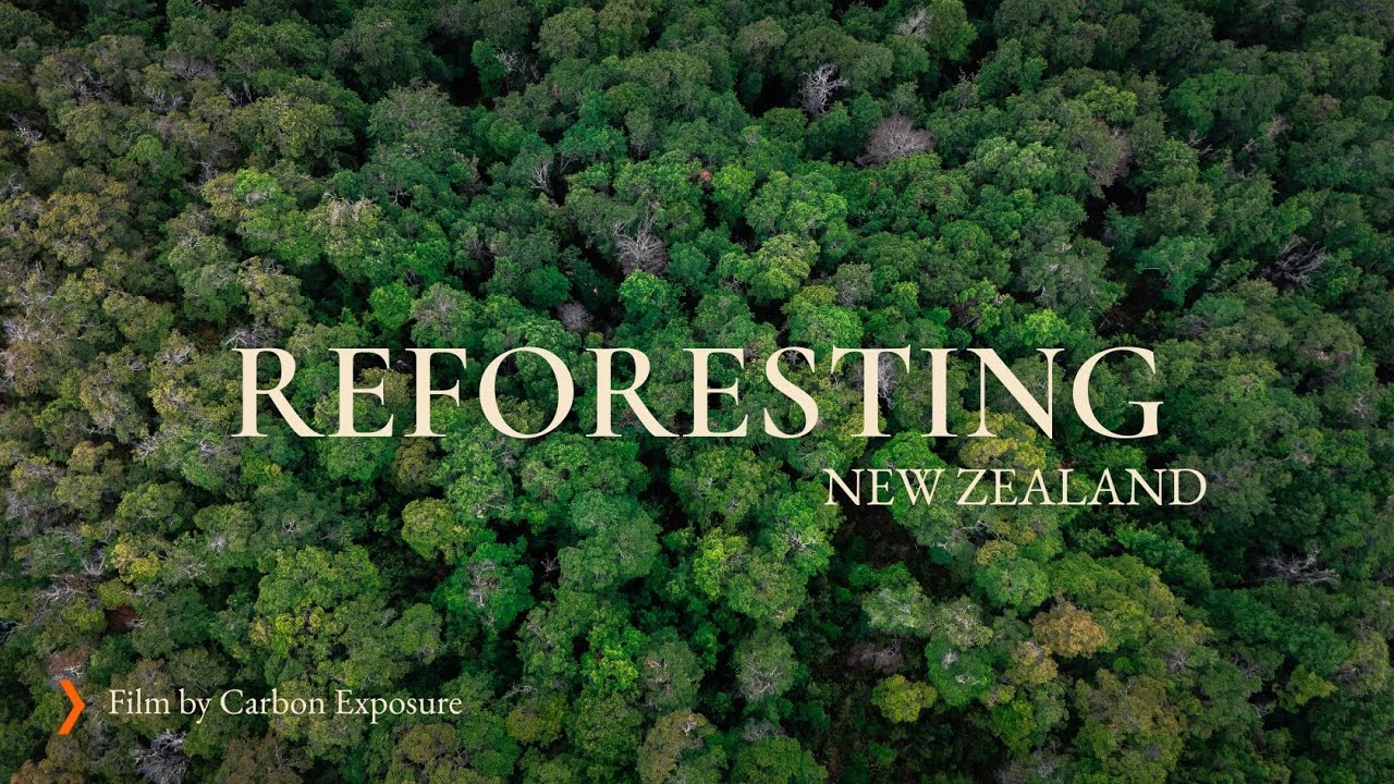 REFORESTING NEW ZEALAND - A Verity Project